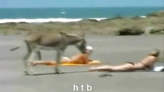 ტატუირებული მეძავი კ ...