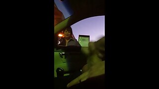 მოწესრიგებული იაპონე ...